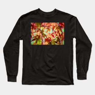 50 Reasons Why We Love Autumn Long Sleeve T-Shirt